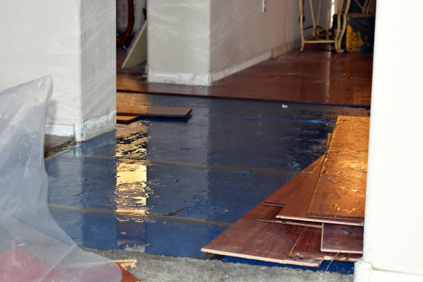 Professional Basement Flood Cleanup technician working in Haskell, OK